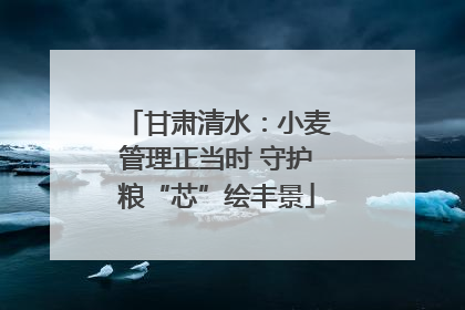甘肃清水：小麦管理正当时 守护粮“芯”绘丰景