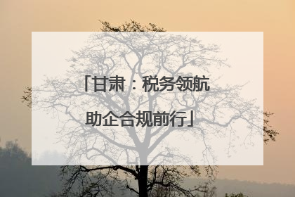 甘肃：税务领航 助企合规前行