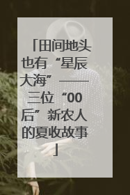 田间地头也有“星辰大海”——三位“00后”新农人的夏收故事