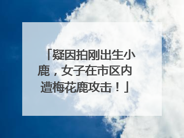 疑因拍刚出生小鹿，女子在市区内遭梅花鹿攻击！