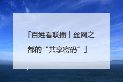 百姓看联播丨丝网之都的“共享密码”
