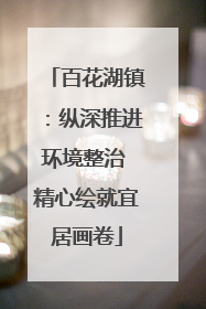 百花湖镇：纵深推进环境整治 精心绘就宜居画卷