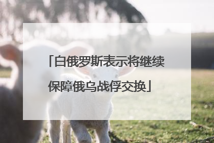 白俄罗斯表示将继续保障俄乌战俘交换