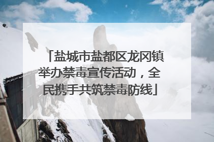 盐城市盐都区龙冈镇举办禁毒宣传活动，全民携手共筑禁毒防线
