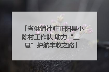 省供销社驻正阳县小陈村工作队 助力“三夏”护航丰收之路