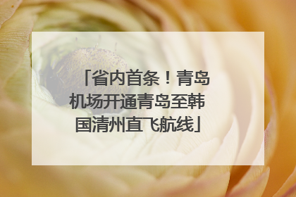 省内首条！青岛机场开通青岛至韩国清州直飞航线