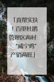 真帮实扶！百里杜鹃管理区两村“威宁鸡”产销两旺