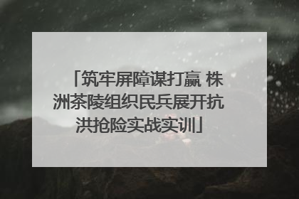 筑牢屏障谋打赢 株洲茶陵组织民兵展开抗洪抢险实战实训