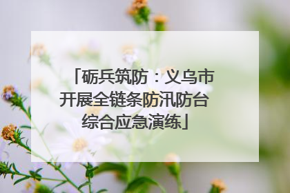 砺兵筑防：义乌市开展全链条防汛防台综合应急演练
