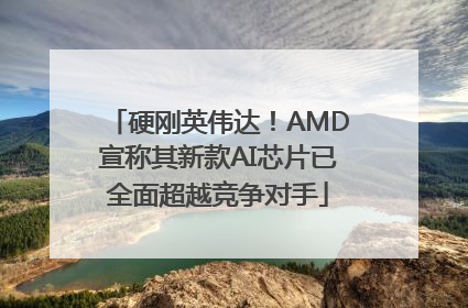 硬刚英伟达！AMD宣称其新款AI芯片已全面超越竞争对手