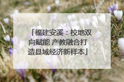 福建安溪：校地双向赋能 产教融合打造县域经济新样本