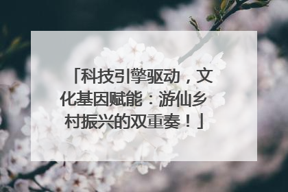 科技引擎驱动，文化基因赋能：游仙乡村振兴的双重奏！