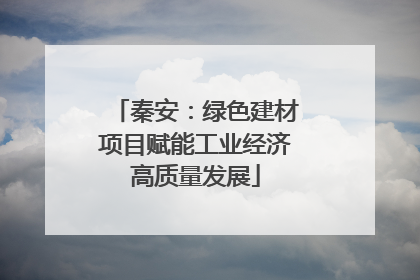 秦安：绿色建材项目赋能工业经济高质量发展
