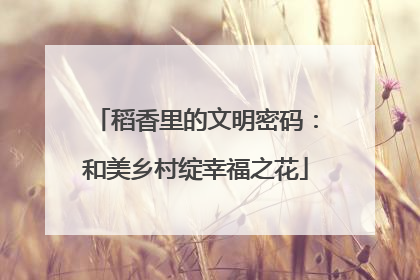 稻香里的文明密码：和美乡村绽幸福之花