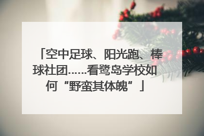 空中足球、阳光跑、棒球社团……看鹭岛学校如何“野蛮其体魄”