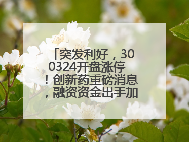 突发利好，300324开盘涨停！创新药重磅消息，融资资金出手加仓股揭晓