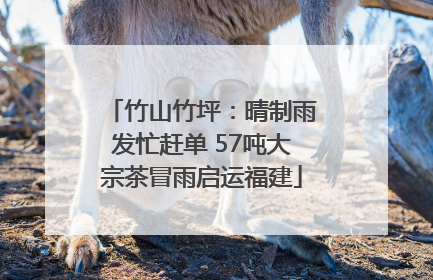 竹山竹坪：晴制雨发忙赶单 57吨大宗茶冒雨启运福建