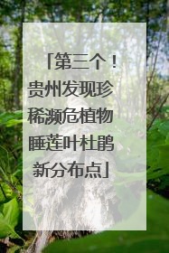 第三个！贵州发现珍稀濒危植物睡莲叶杜鹃新分布点