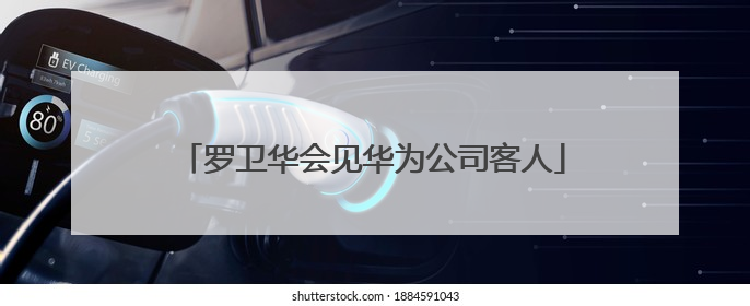 罗卫华会见华为公司客人