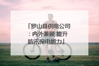 罗山县供电公司：内外兼顾 提升防汛保电能力