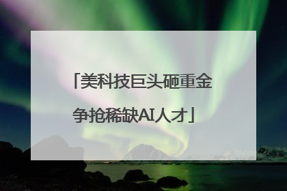 美科技巨头砸重金争抢稀缺AI人才