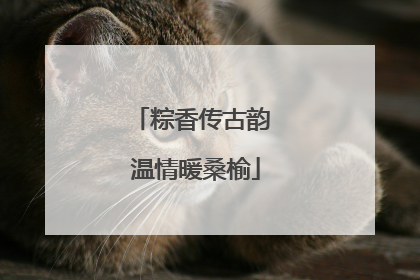 粽香传古韵 温情暖桑榆