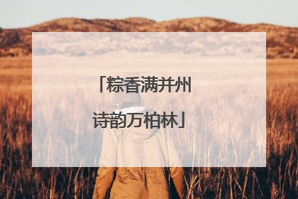 粽香满并州 诗韵万柏林