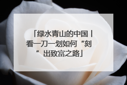 绿水青山的中国丨看一刀一划如何“刻”出致富之路