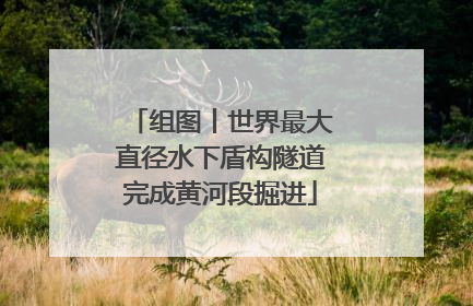 组图丨世界最大直径水下盾构隧道完成黄河段掘进