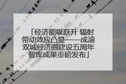 经济能级跃升 辐射带动效应凸显——成渝双城经济圈建设五周年智库成果重磅发布