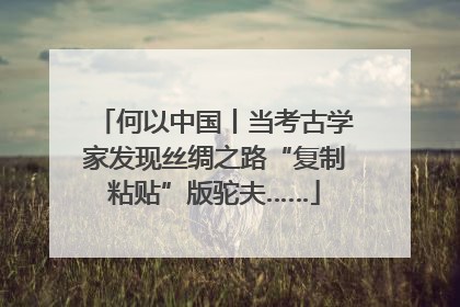 何以中国丨当考古学家发现丝绸之路“复制粘贴”版驼夫……