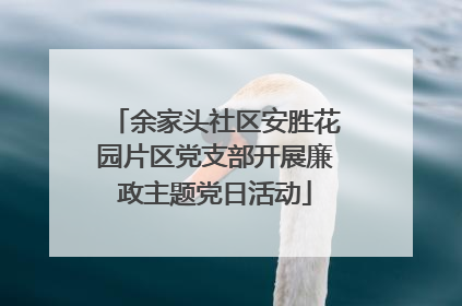 余家头社区安胜花园片区党支部开展廉政主题党日活动