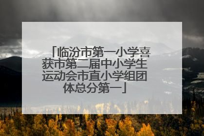 临汾市第一小学喜获市第二届中小学生运动会市直小学组团体总分第一