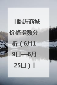 临沂商城价格指数分析（6月19日—6月25日）