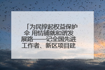为民撑起权益保护伞 用情铺就和谐发展路——记全国先进工作者、新区项目建设中心干部卢小勇