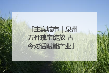 主宾城市｜泉州万件瑰宝绽放 古今对话赋能产业