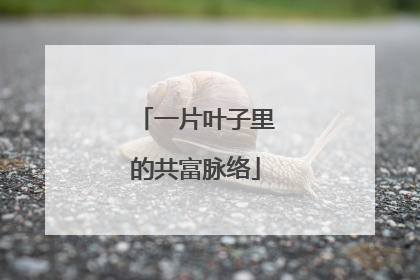 一片叶子里的共富脉络