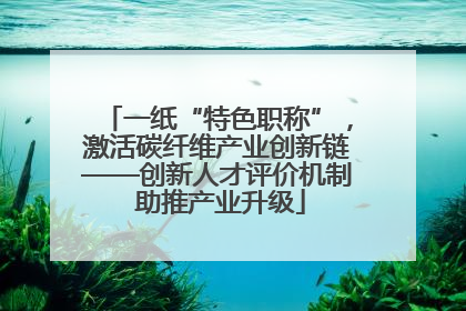 一纸“特色职称”，激活碳纤维产业创新链——创新人才评价机制 助推产业升级