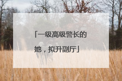 一级高级警长的她，拟升副厅