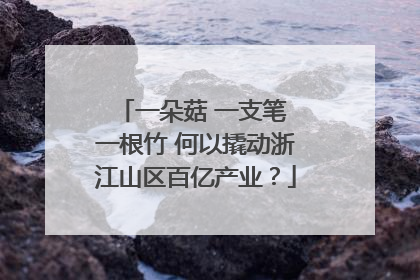 一朵菇 一支笔 一根竹 何以撬动浙江山区百亿产业？
