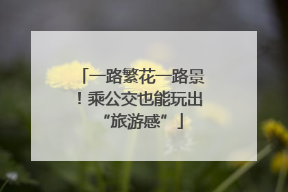 一路繁花一路景！乘公交也能玩出“旅游感”