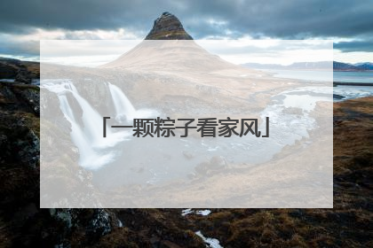 一颗粽子看家风