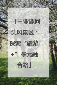 三亚鹿回头风景区：探索“旅游+”多元融合路