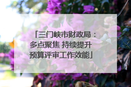 三门峡市财政局：多点聚焦 持续提升预算评审工作效能