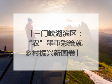 三门峡湖滨区：“农”墨重彩绘就乡村振兴新画卷