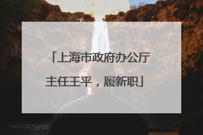 上海市政府办公厅主任王平，履新职