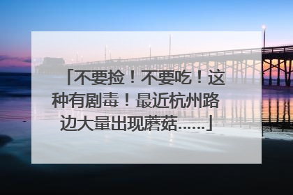 不要捡！不要吃！这种有剧毒！最近杭州路边大量出现蘑菇……