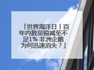 世界海洋日丨百年内数量锐减至不足1% 非洲企鹅为何迅速消失？