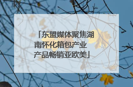 东盟媒体聚焦湖南怀化箱包产业 产品畅销亚欧美