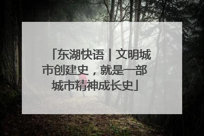 东湖快语｜文明城市创建史，就是一部城市精神成长史